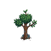 Yggdrasil phase 1